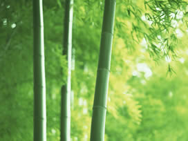 画像01