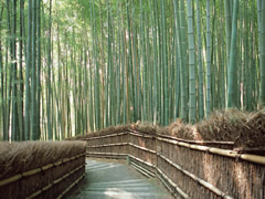 画像01